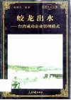 蛟龙出水  台湾成功企业管理模式 封面