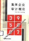 集体企业审计概论 封面