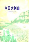 今日大别山 封面