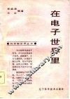 在电子世界里 封面