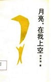 月亮在我上空 封面