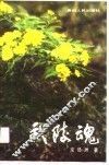 武陵魂 封面