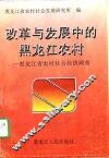 改革与发展中的黑龙江农村  黑龙江省农村社会经济调查  上 封面