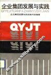 企业集团发展与实践 封面
