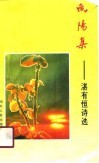 向阳集  湛有恒诗选 封面