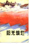 阳光灿烂 封面