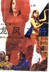 龙凤玉符  新派武侠言情小说  上 封面