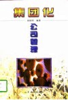 集团化公司管理 封面