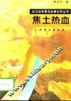 焦土热血  枣宜会战纪实 封面