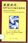 掌握旋风 SAP成功实施实地指南 封面