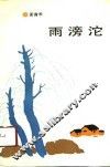 雨滂沱  小说散文选集 封面