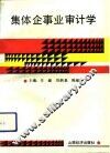 集体企事业审计学 封面