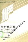 农村城市化 电子书封面