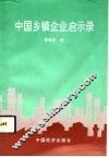 中国乡镇企业启示录 封面