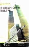 市场经济中企业的融资方略 封面
