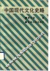 中国现代文化史略 电子书封面
