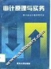 审计原理与实务 封面