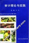 审计理论与实践 封面