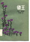 锁王 封面