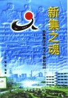 新集之魂  新集集团企业文化建设探讨 封面