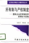 所有制与产权制度  国有企业所有制改革的理论与实践 封面