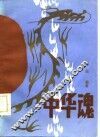中华魂 封面