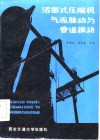 活塞式压缩机气流脉动与管道振动 封面