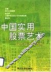 中国实用股票艺术  风险投资的指南 封面
