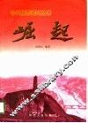 崛起 封面
