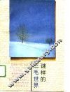 谜样的三毛世界 封面
