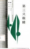 第三只眼睛 封面