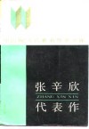 张辛欣代表作 封面