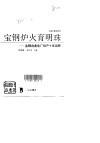 宝钢炉火育明珠  宝钢自备电厂投产十年回顾 封面