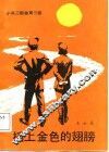 插上金色的翅膀 封面