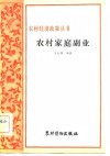 农村家庭副业  家庭副业是农村经济的补充部分 封面