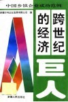 跨世纪的经济巨人  中国乡镇企业成功范例 封面
