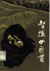 智擒女匪首 封面