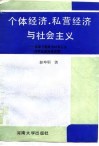 个体经济、私营经济与社会主义  探索中国特色社会主义现实道路的新思路 封面