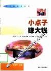 小点子赚大钱 封面