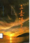 三秦游子录  续辑 封面