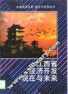 江西省经济开发现在与未来 封面