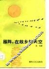 雁阵，  在故乡的天空 封面