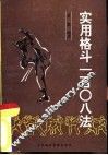 实用格斗一百零八法 封面