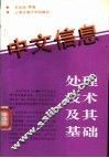 中文信息处理技术及其基础 封面