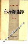 在大革命的洪流中 封面