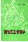 植物形态解剖学 封面