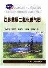 江苏黄桥二氧化碳气田 电子书封面