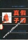 《遗产继承人》三部曲之一  真假子爵 封面