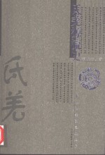 氐羌源流史 封面