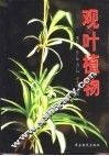 观叶植物 封面